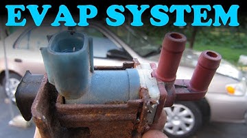 How the EVAP System Works
