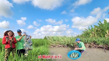 (#210)Vô Mánh Bầy Cá Rô Phi Khủng Về Làm Bữa Cơm Chiều, Làm khô Ngon Hết Ý | Tư Tèo Vlog