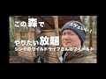 許された森の中でやりたい放題しているおじさんのフィールドで遊んだ件。
