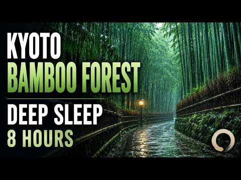 Kyoto Bamboo Forest in Gentle Rain | Japanese Sleep Music (8 Hours)