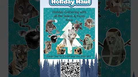 2025 Paws & Claws Holiday Haul for Cat Tales Wildlife