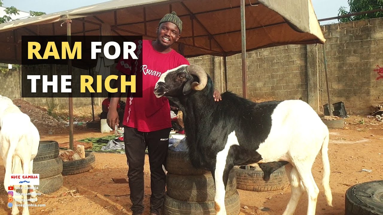 RAMs for the rich in Africa The Gambia - YouTube