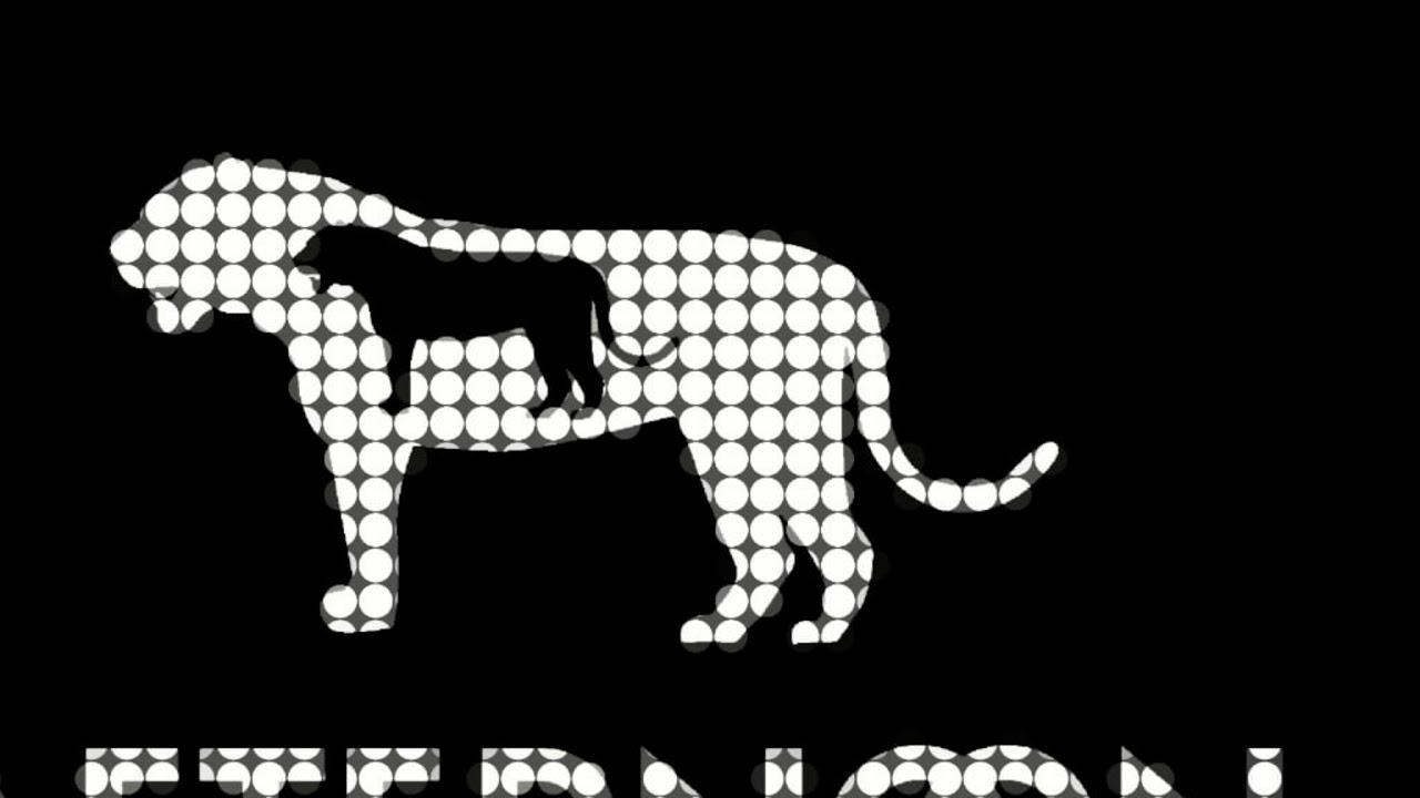 Afternoon Tiger Live Stream - YouTube