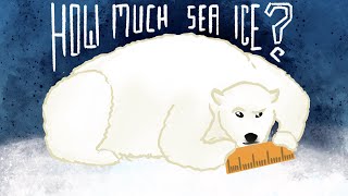 How Do We Know How Much Sea Ice There Is?