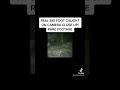 Real Bigfoot caught on camera close up rare footage