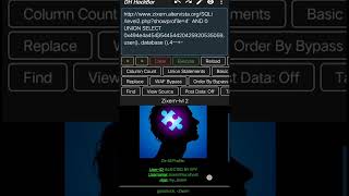Sqli challenges level 0x1 and level 0x02