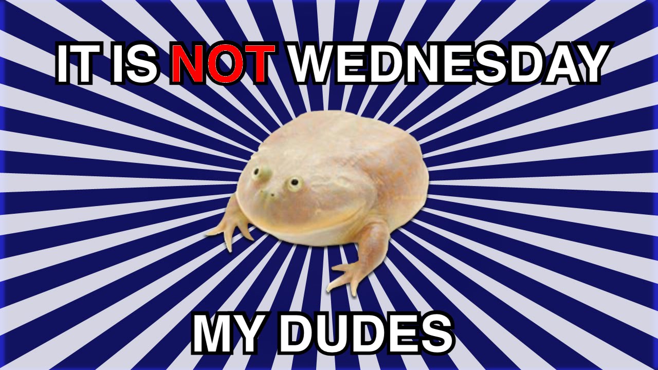 wednesday my dudes wednesday my dudes