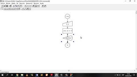 Condicionales y diagramas de flujo en C++