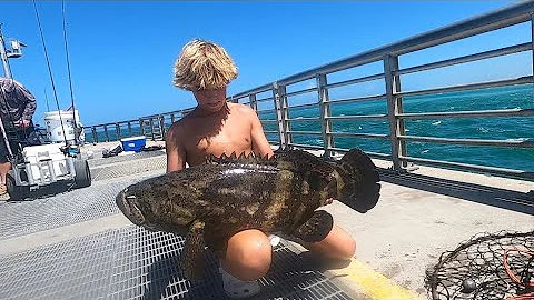 Catching Big GOLIATH GROUPERS and SNOOK at Sebastian Inlet