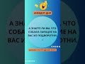 😂 А знаети ли вы что собаки #funny