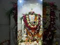 #shoheijaygauriganesh Jai Gauri Ganesh 🚩🚩🙏🙏#shohei