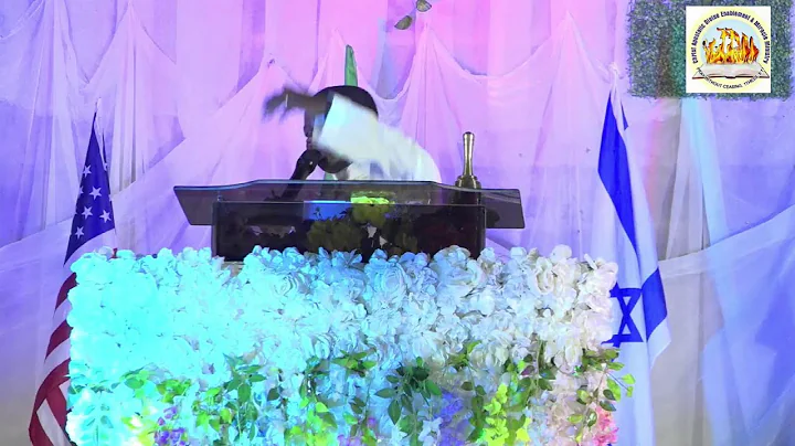 Night of Angels 2023