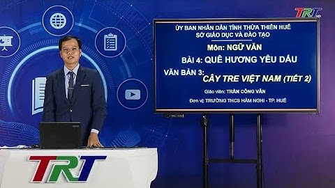 Soạn văn bài cây tre việt nam lớp 6 năm 2024