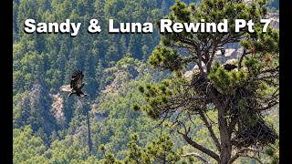 Sandy & Luna Rewind Pt.  7