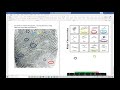 Mastering Fingerprint Minutiae Through Color-Coded Analysis