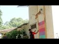 Jumping Dogs: Champion Pit Bull Can Leap Up Four Metre Walls Jumping Dogs: Champion Pit Bull Can Leap Up Four Metre Walls