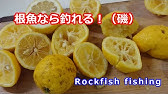 撒き餌対決 さなぎ粉 Vs 味の素 アミノ酸 再編集版 Youtube 撒き餌対決 さなぎ粉 Vs 味の素 アミノ酸 再編集版 Youtube