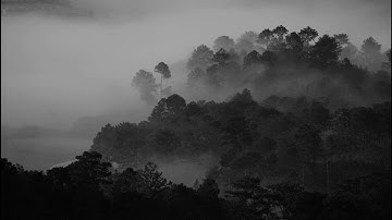 Zombie - Luciana Zogbi and Andre Soueid