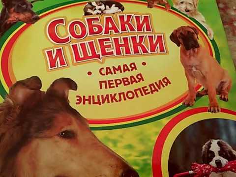 Энциклопедия собаки и щенки.