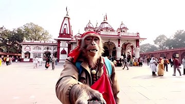 Who needs influencers when you