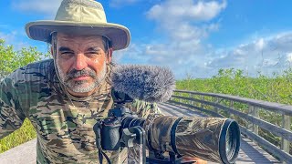 2 Days in Everglades National Park, Florida