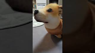 Сколько людей проживает здесь