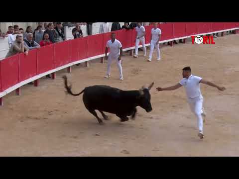 NIMES (16/05/2024) - Le résumé de la course