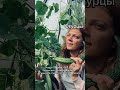 Когда сеять семена? Подписывайтесь на канал агронома