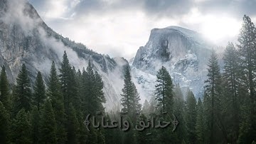 أواخر سورة النبأ