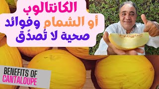 فاكهة مفيدة جدا  | فوائد الشمام  والكنتالوب او البطيخ الاصفر  | فوائد لكل اعضاء الجسم