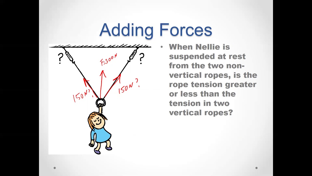 Newtons 1st Law zero net force