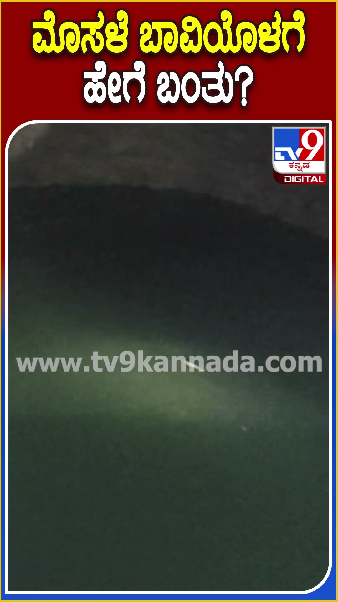 ಮೊಸಳೆ ಬಾವಿಯೊಳಗೆ ಹೇಗೆ ಬಂತು? #Crocodile #Tv9D