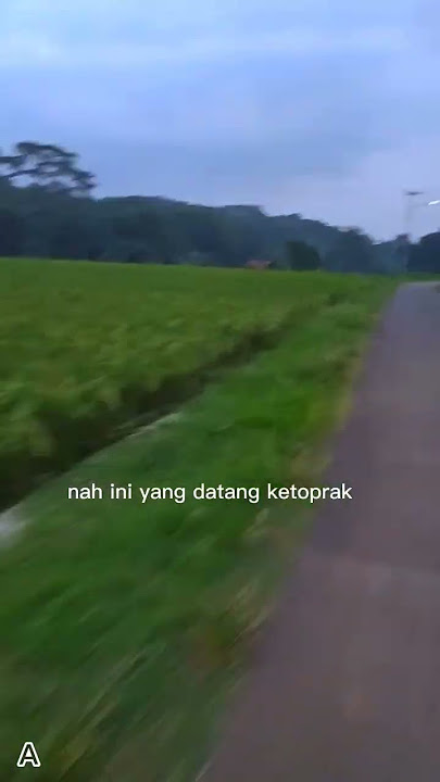 beli nasi kuning
