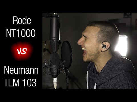 Neumann TLM 103 vs Rode NT1000 - Mic Comparison (Vocal, Scream, Guitar)