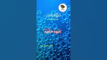 تلاوة هادئة/ القارئ فارس عباد