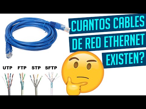 🤔 CUANTOS TIPOS