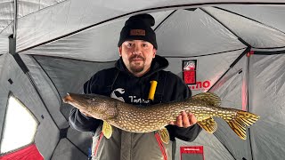 Anthony’s Tournament Pike, January 13, 2024 by Northern Hoosier Outdoors 48 views 4 months ago 9 minutes, 50 seconds