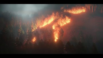 Houdini FX - Pyro Wildfire