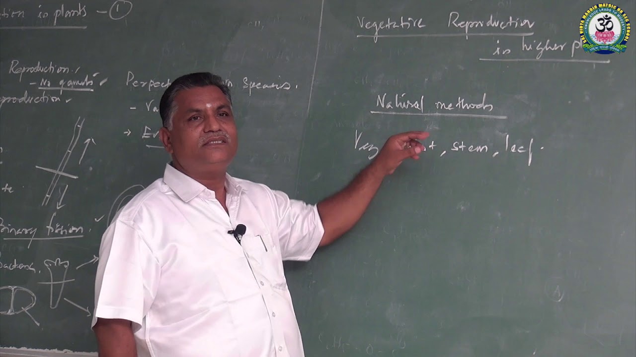 +2 - BOTANY - REPRODUCTION IN PLANTS - PART - 1 PRESENTED BY- Mr. R. Saravanakumar.