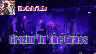 Grazin' In The Grass - The Baja Yetis