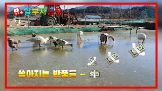 유통기한이 다되어 쏟아지는 반품들 소비기간으로 다시 태어나다~^^