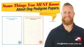 Dog Pedigree Papers: Explained