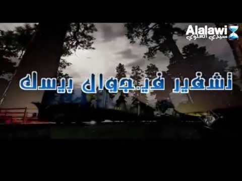 كبار المشفرين سيدي العلوي