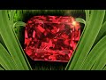 These plants will help you find diamonds crystals gems