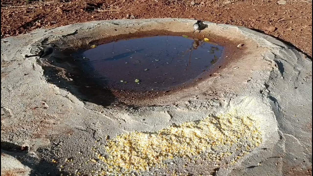 A MAIS BELA NATUREZA