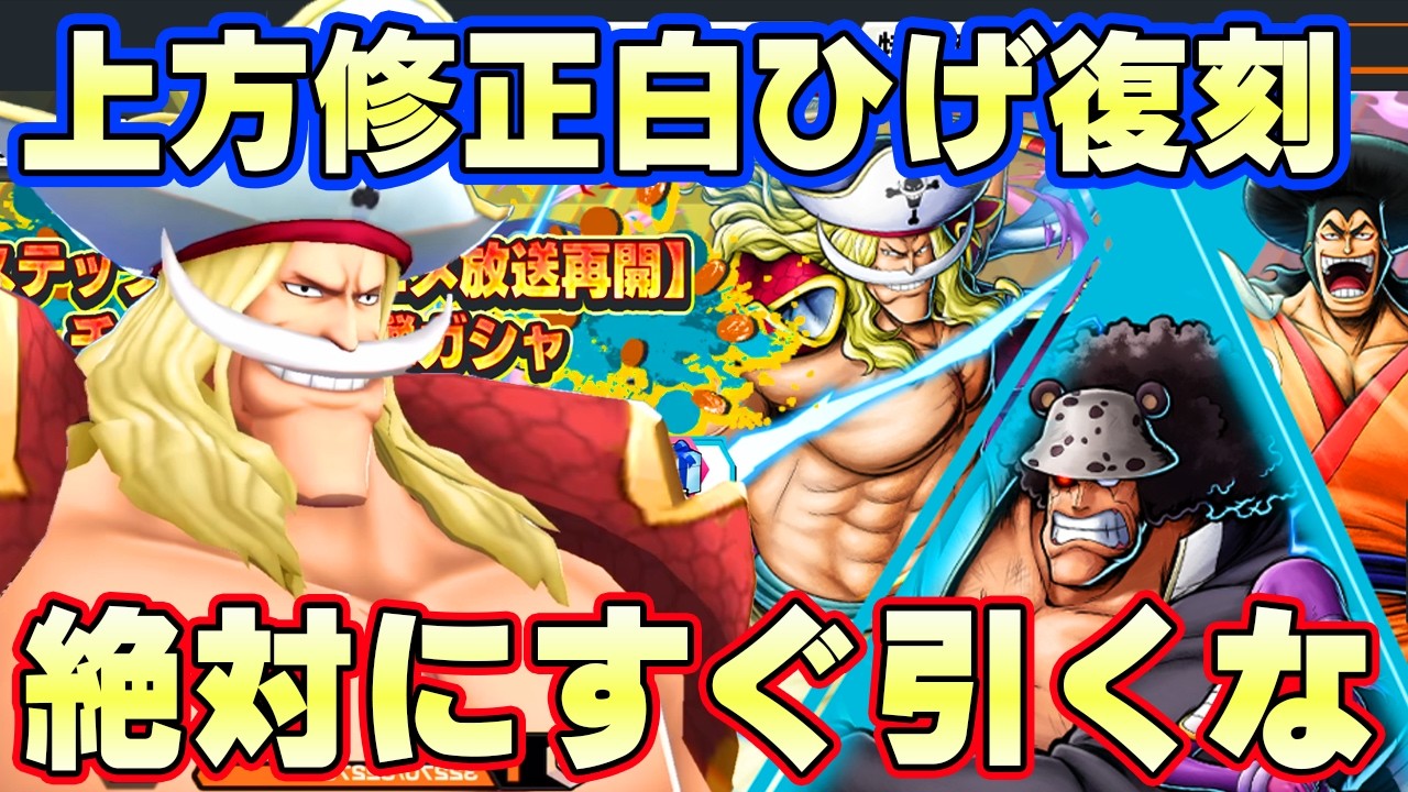 上方修正白ひげ復刻！優秀フェス限も！ただ絶対すぐには引くな