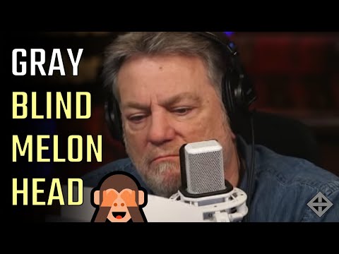 Blind Melon Head: Pat Gray ignores his own eye, ears, and cohost so he can prop up Trump lies