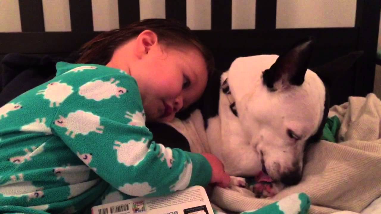 Berkeley cuddling with Gabe - YouTube