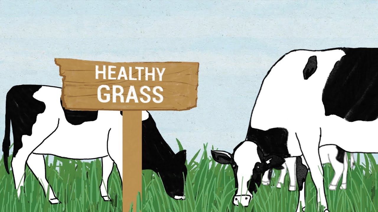 healthy meatless monday recipes Applegate: Healthy Soil Healthy Animals