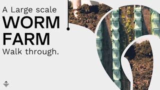 What you need to know to improve your worm farm.